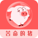 内才网